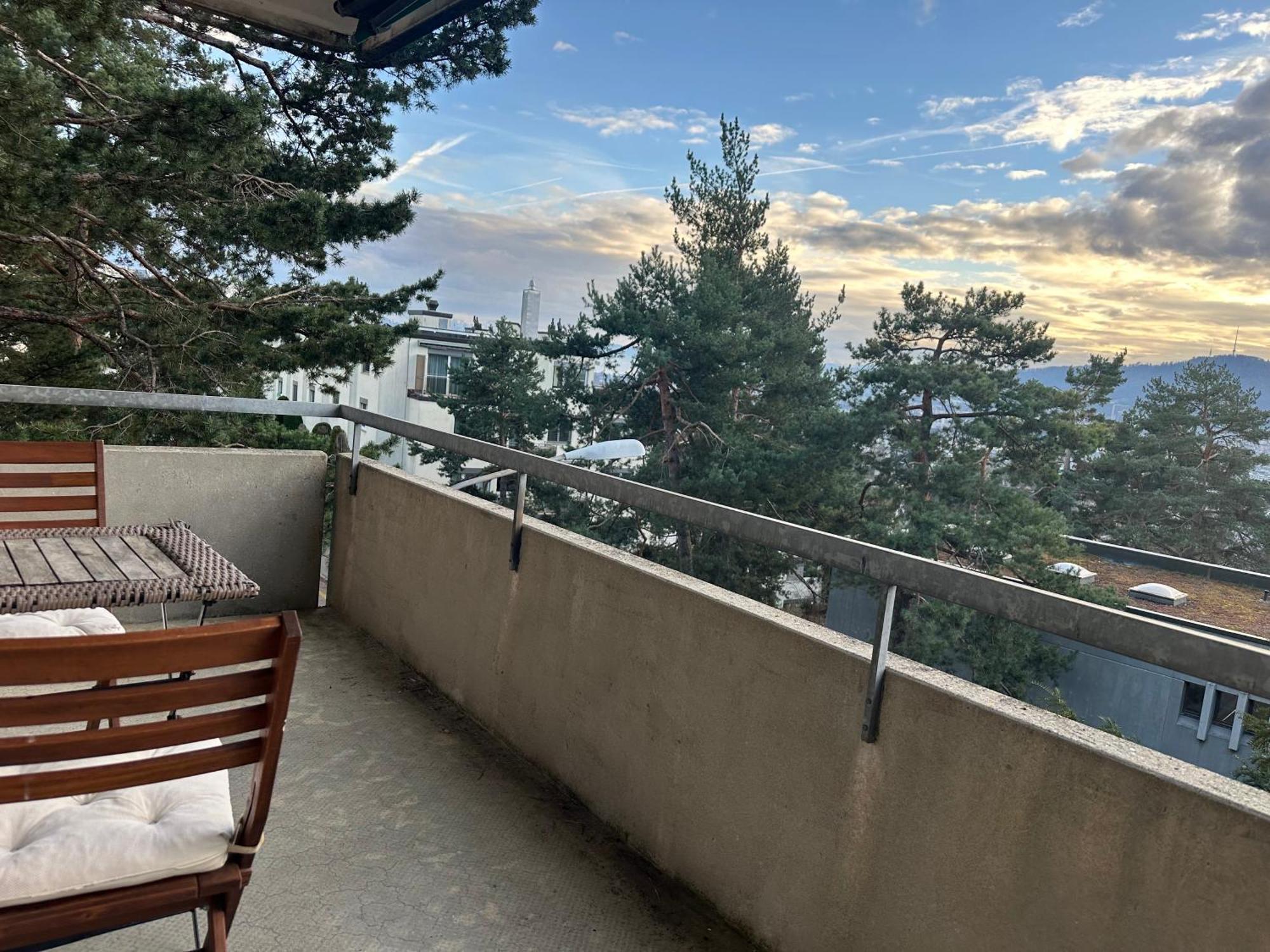 ציריך Lovely Room, 15 Min From Center, Mountain View מראה חיצוני תמונה