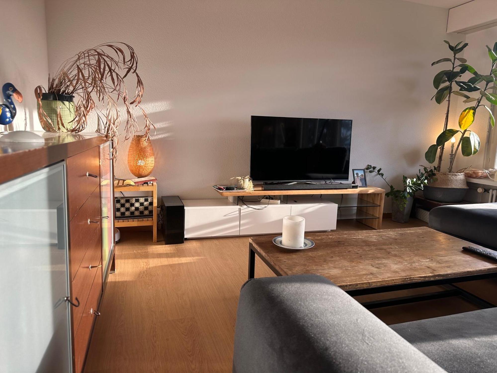 ציריך Lovely Room, 15 Min From Center, Mountain View מראה חיצוני תמונה