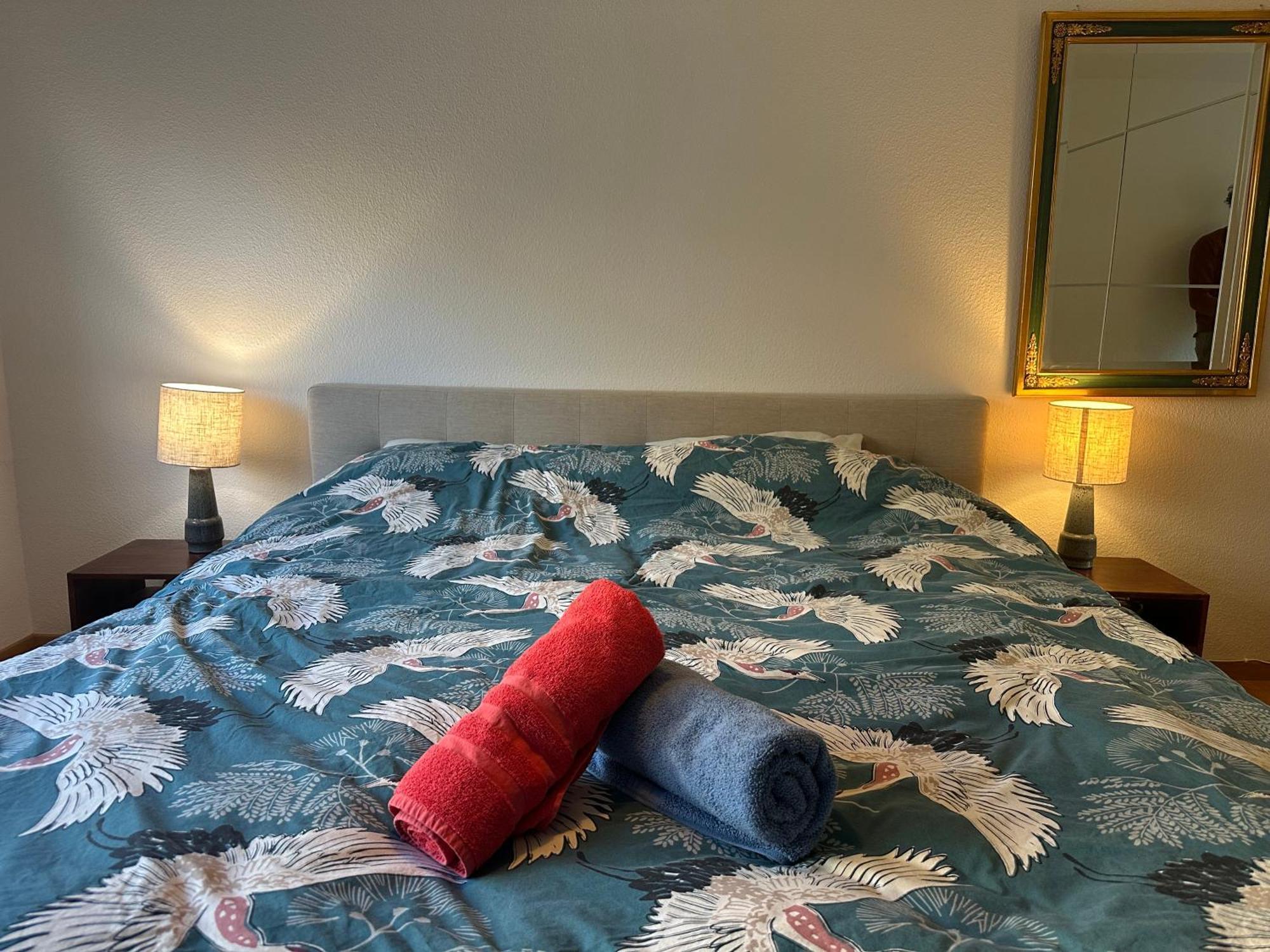 ציריך Lovely Room, 15 Min From Center, Mountain View מראה חיצוני תמונה