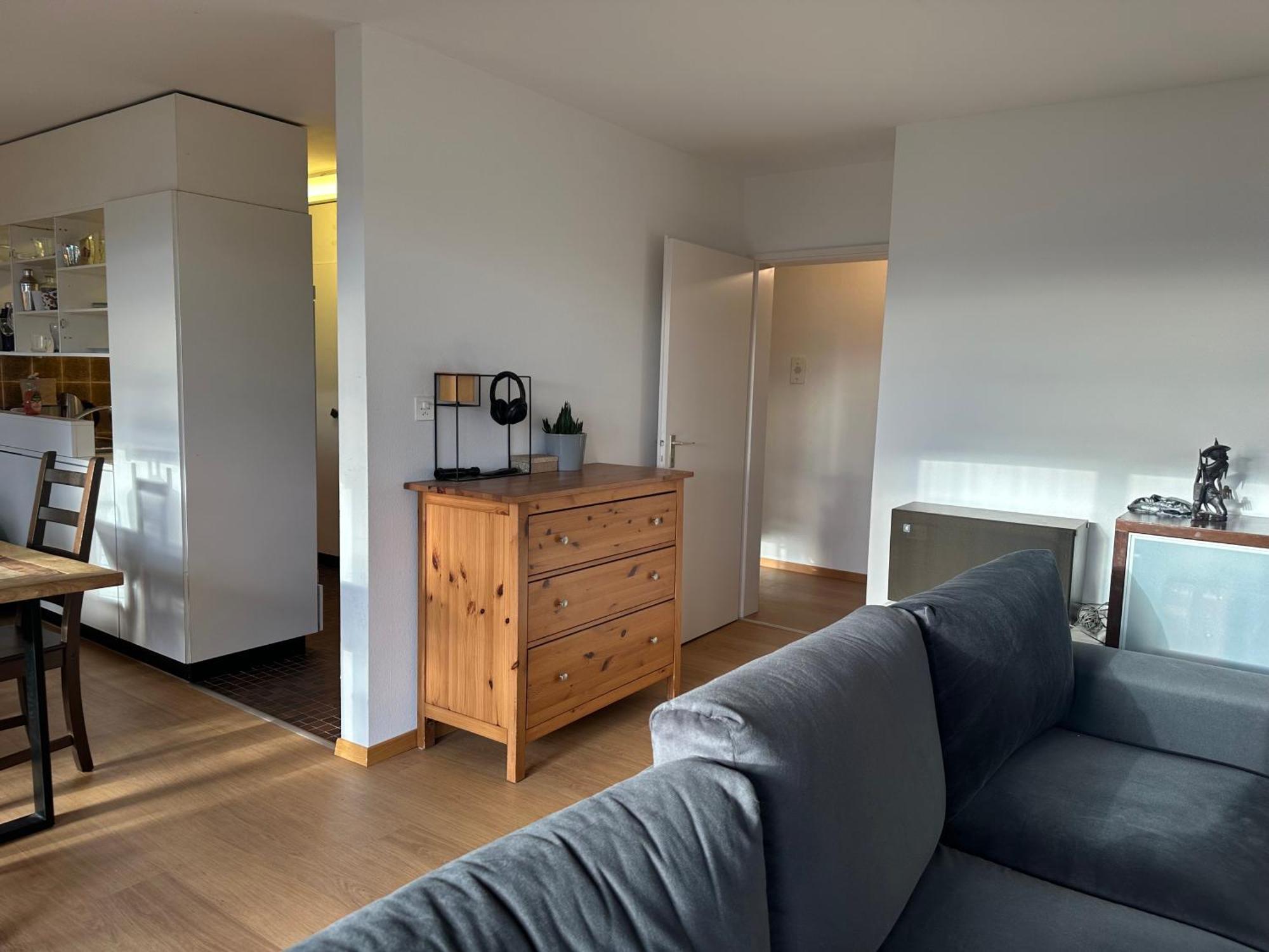 ציריך Lovely Room, 15 Min From Center, Mountain View מראה חיצוני תמונה