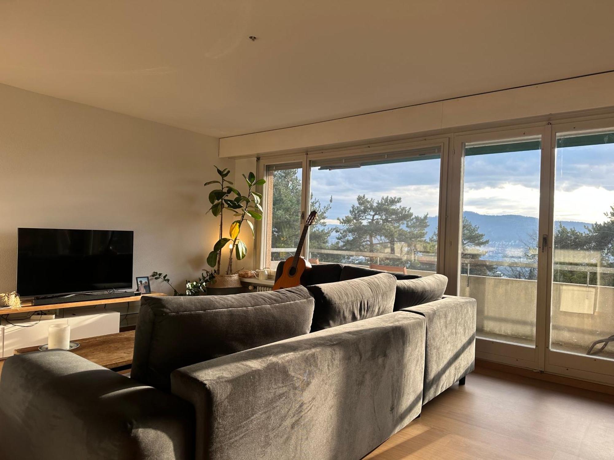 ציריך Lovely Room, 15 Min From Center, Mountain View מראה חיצוני תמונה