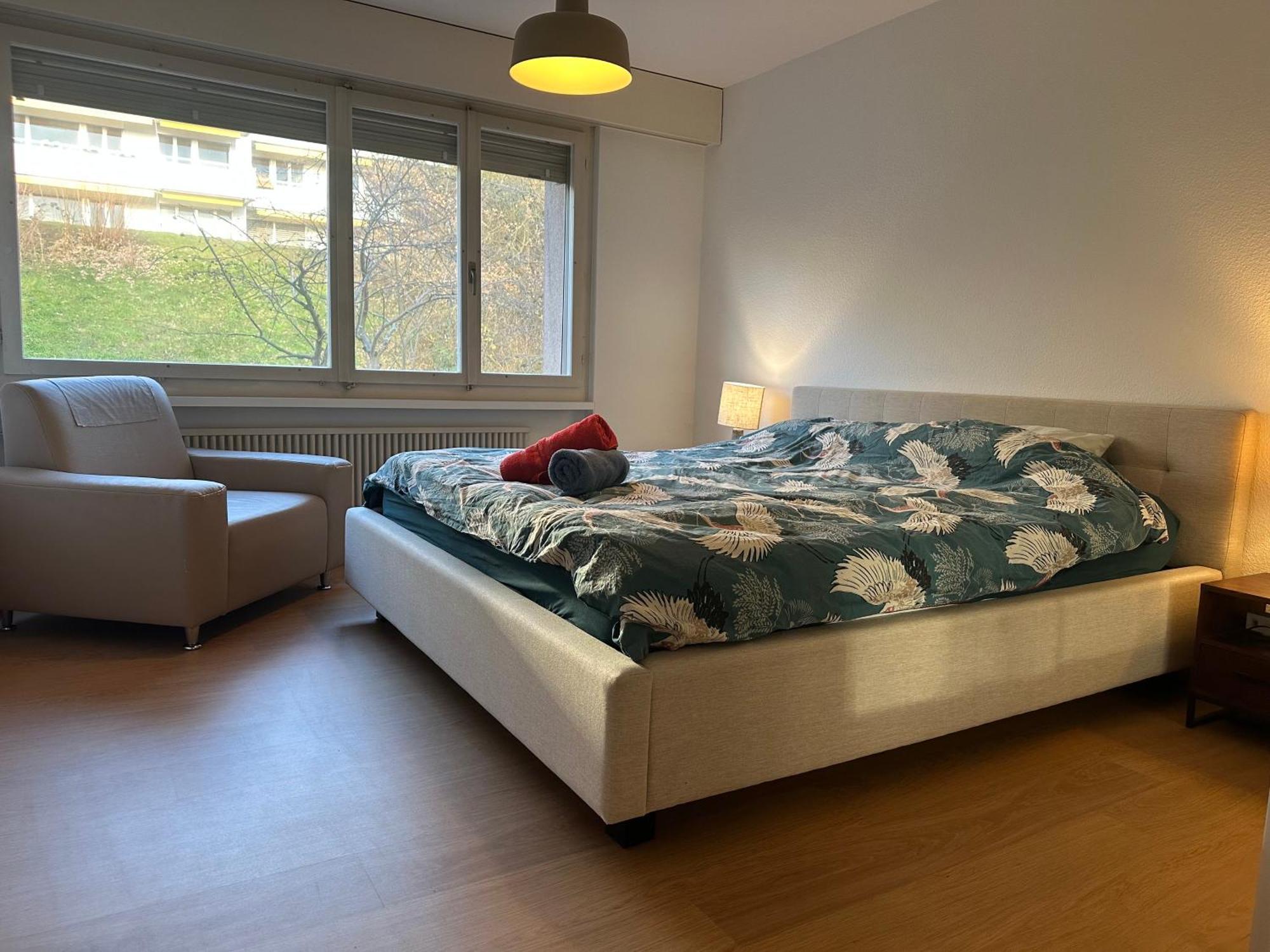 ציריך Lovely Room, 15 Min From Center, Mountain View מראה חיצוני תמונה